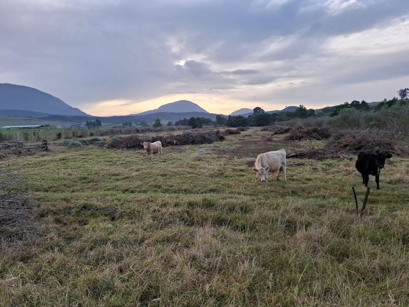 Farm For Sale in Riversdale Rural, Riversdale - Photo 3