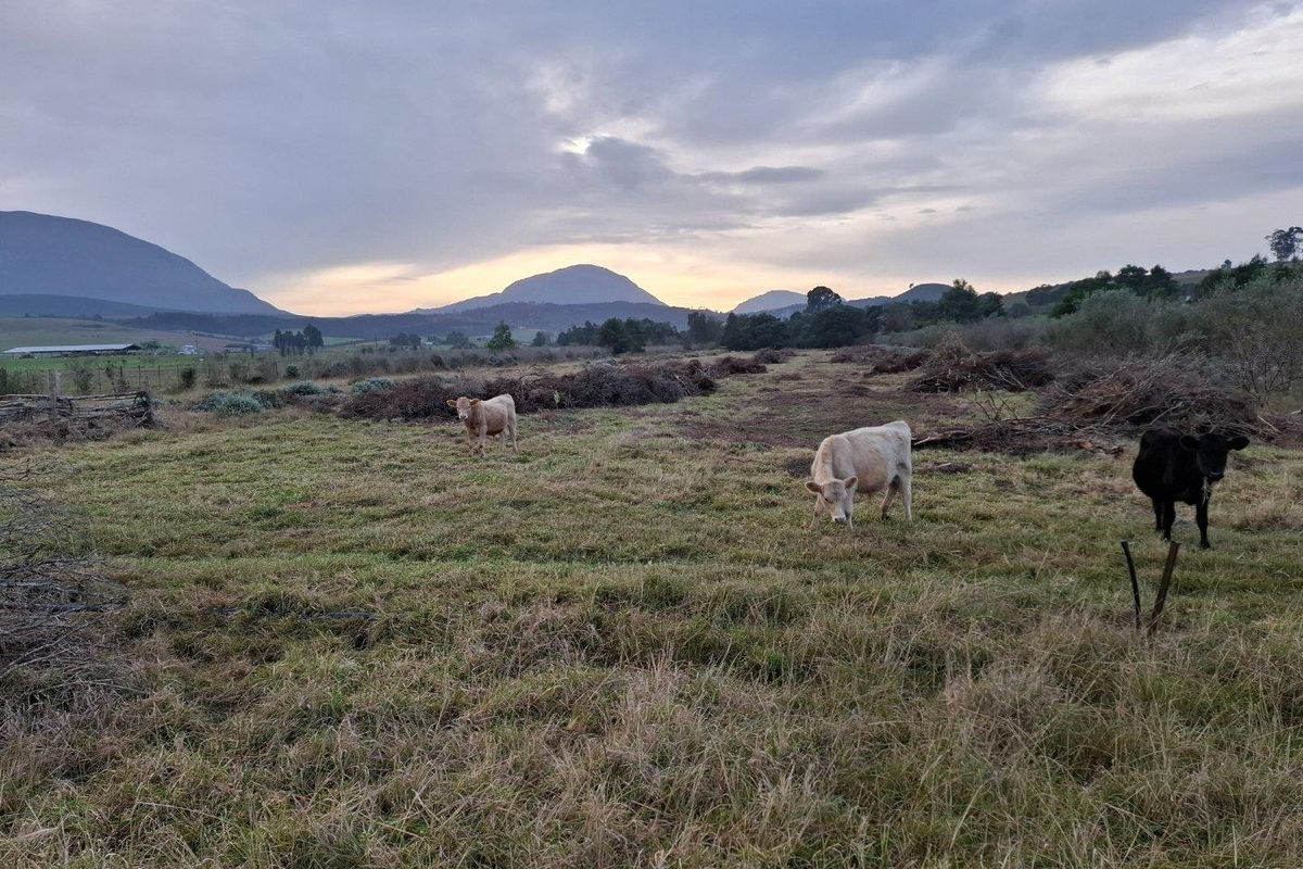 Farm For Sale in Riversdale Rural, Riversdale - Photo 3