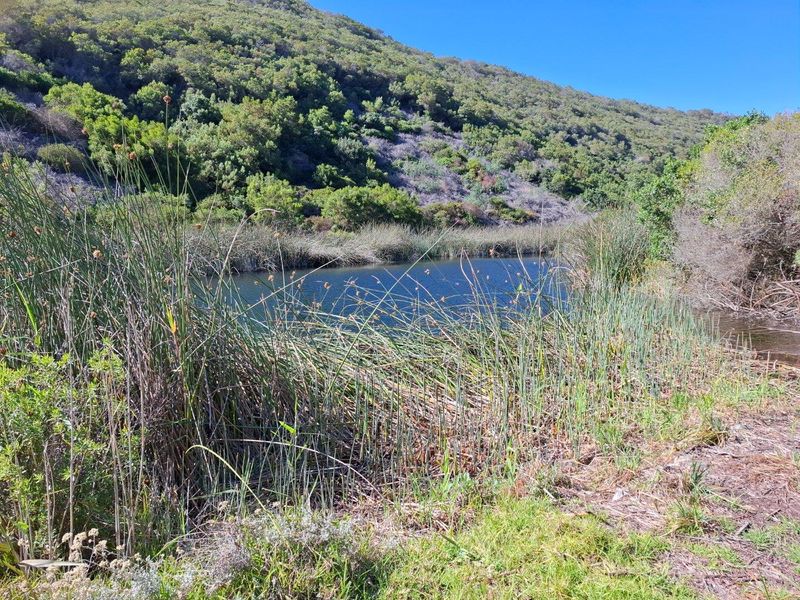 Farm For Sale in Albertinia - Photo 3