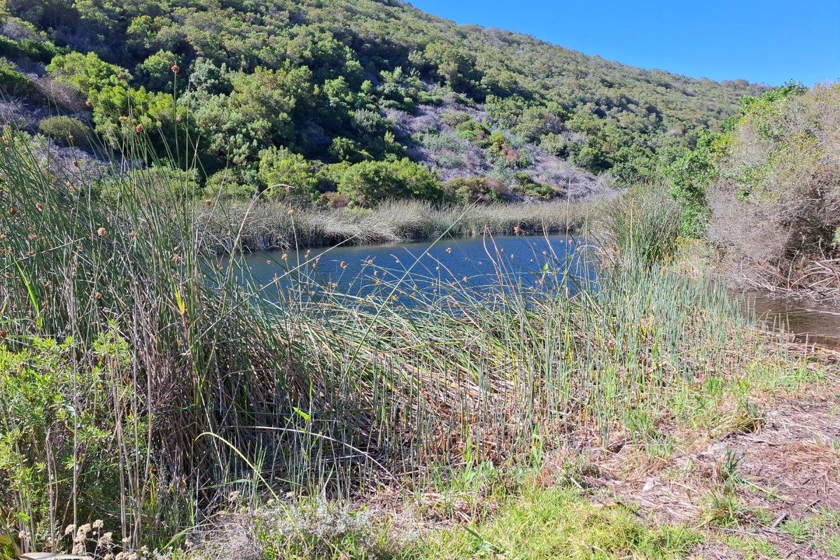 Farm For Sale in Albertinia - Photo 3