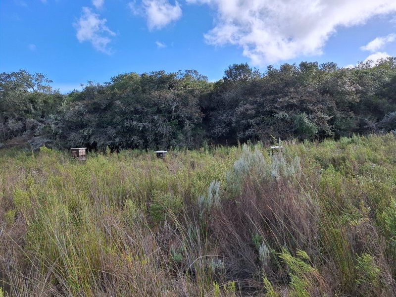 Farm For Sale in Albertinia - Photo 2