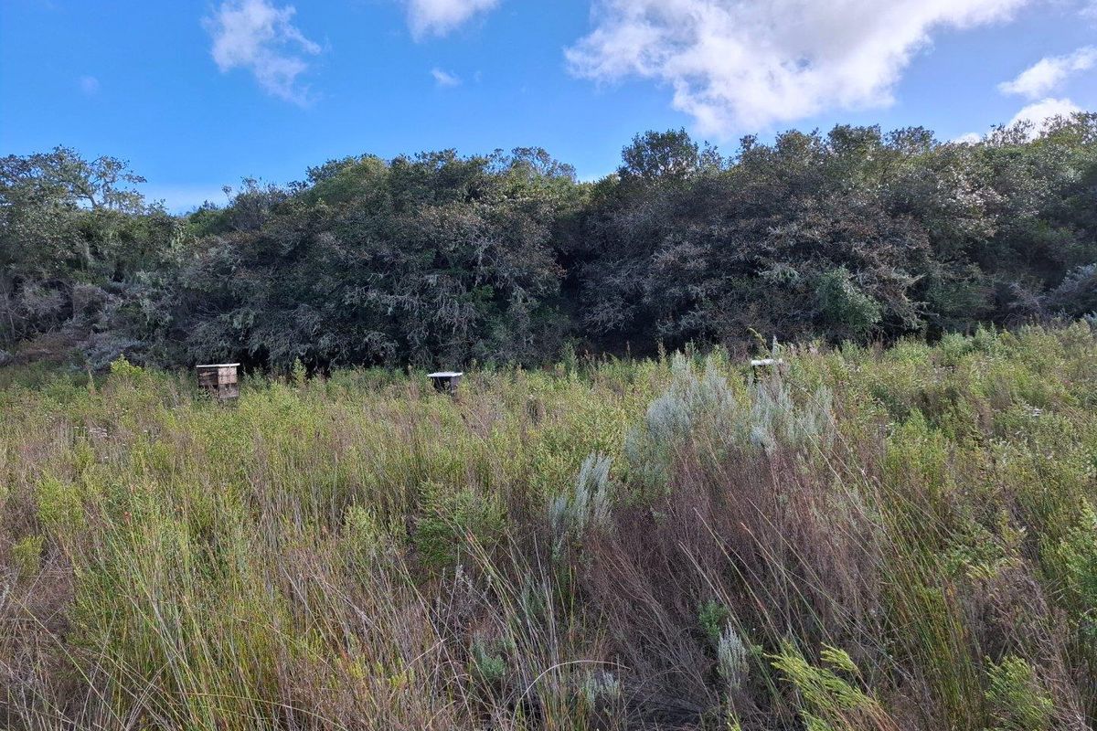 Farm For Sale in Albertinia - Photo 2