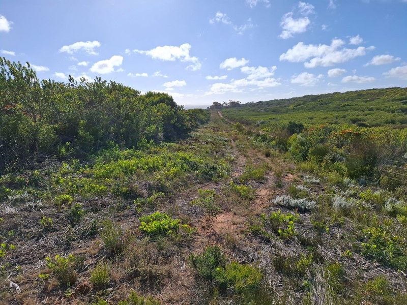 Farm For Sale in Albertinia - Photo 4