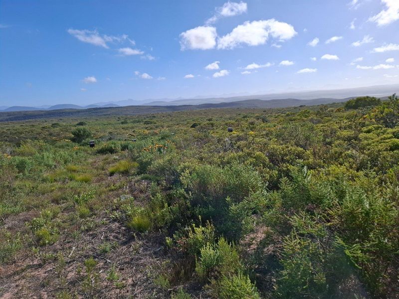 Farm For Sale in Stilbaai Rural, Stilbaai - Photo 9