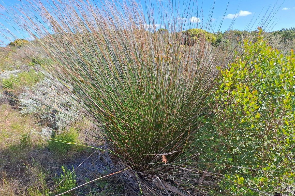 Farm For Sale in Stilbaai Rural, Stilbaai - Photo 4