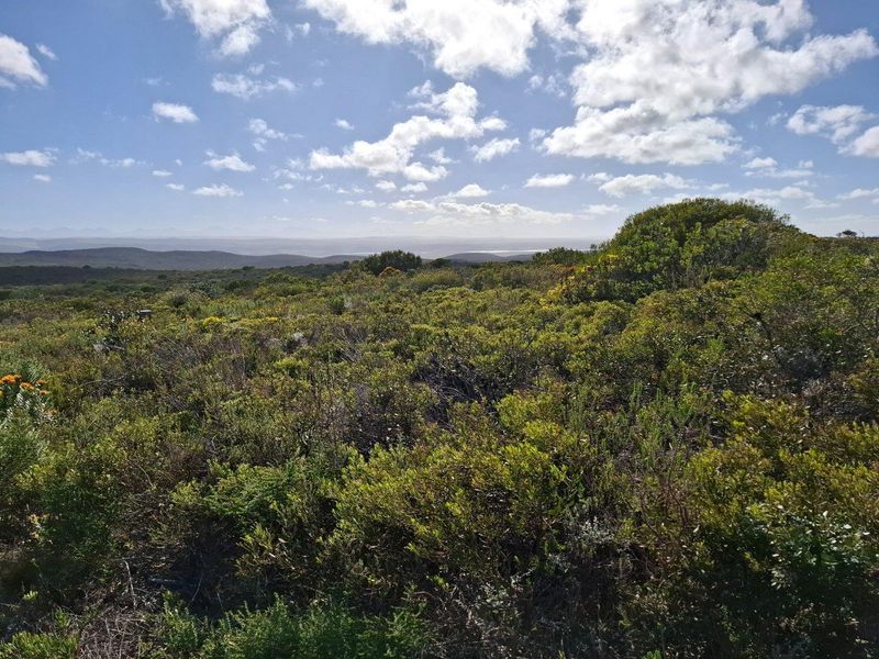 Farm For Sale in Stilbaai Rural, Stilbaai - Photo 10