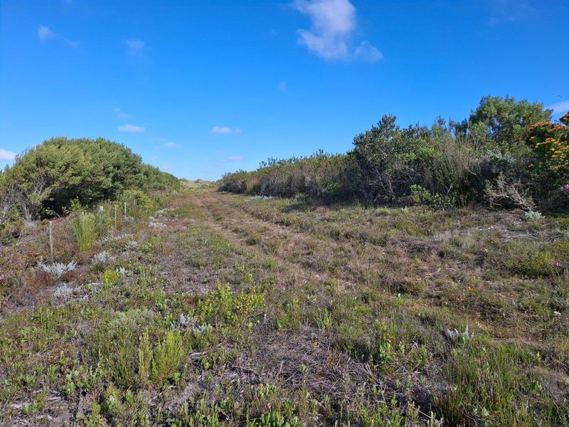 Farm For Sale in Stilbaai Rural, Stilbaai - Photo 8