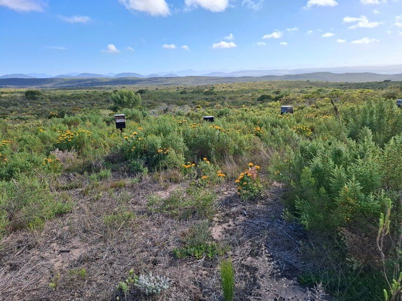 Farm For Sale in Stilbaai Rural, Stilbaai - Photo 2