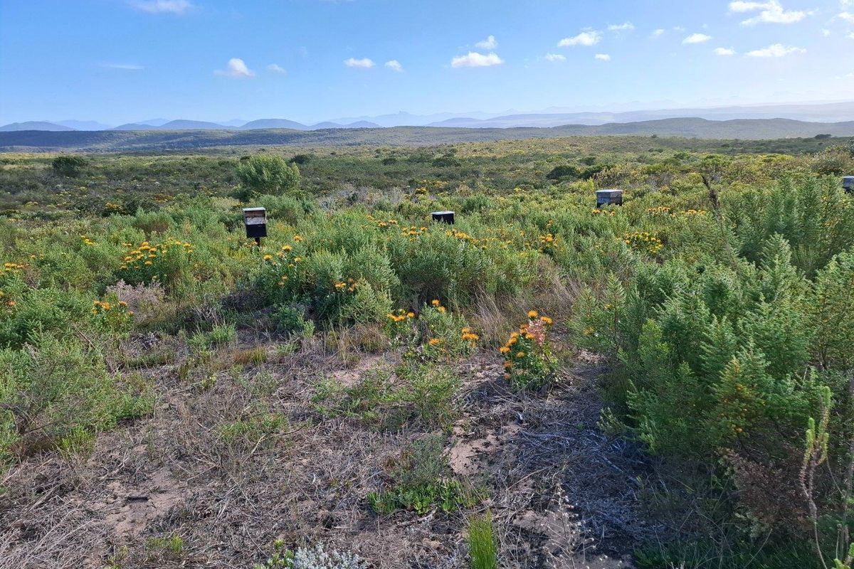 Farm For Sale in Stilbaai Rural, Stilbaai - Photo 2