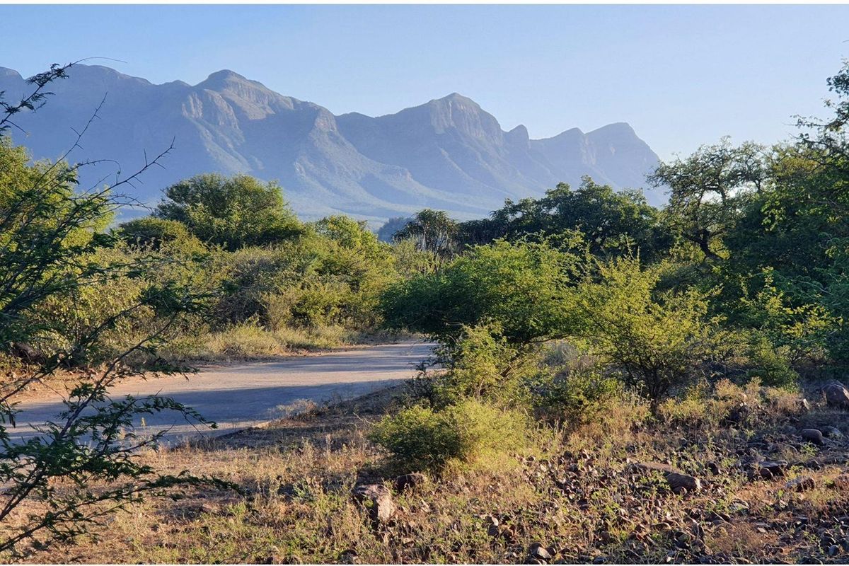 House For Sale in Blyde Wildlife Estate, Hoedspruit - Photo 3