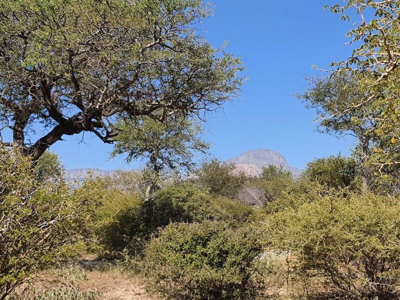 Vacant Land For Sale in Blyde Wildlife Estate, Hoedspruit - Photo 10