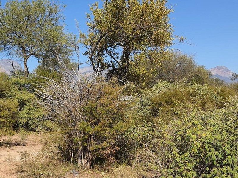 Vacant Land For Sale in Blyde Wildlife Estate, Hoedspruit - Photo 8