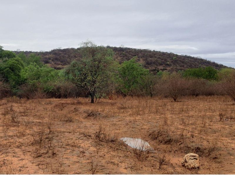 Vacant Land For Sale in Elephant Rock Eco Estate, Hoedspruit - Photo 1