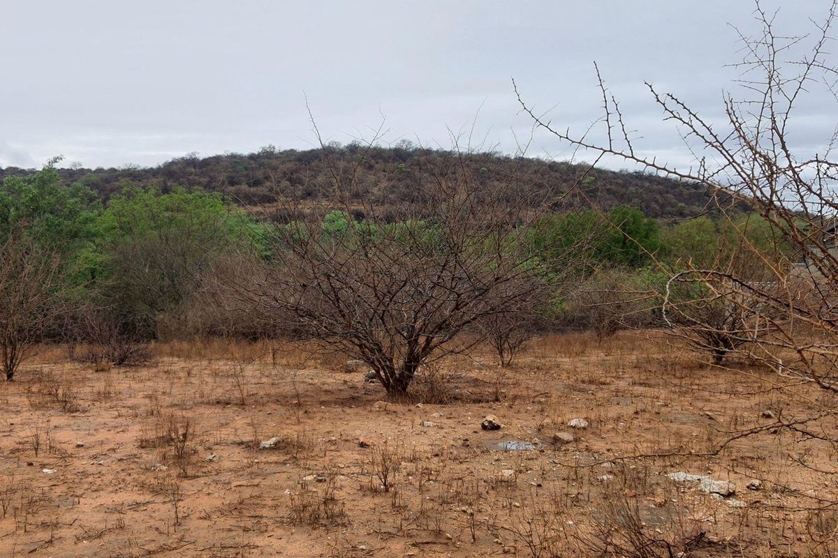 Vacant Land For Sale in Elephant Rock Eco Estate, Hoedspruit - Photo 2