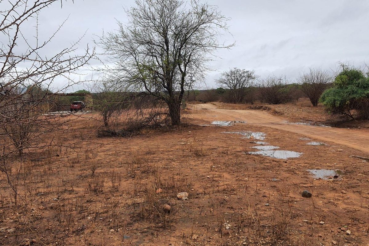 Vacant Land For Sale in Elephant Rock Eco Estate, Hoedspruit - Photo 3