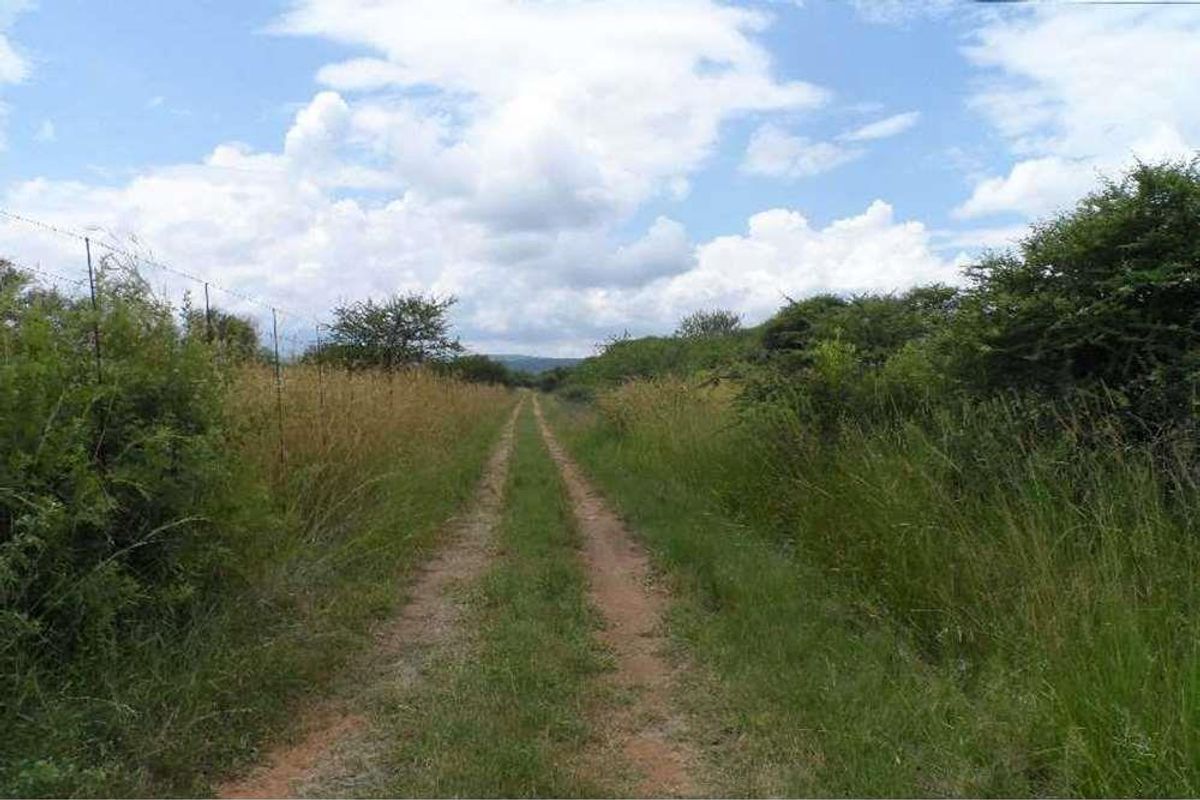 WATER IN ABUNDANCE - FARM 10KM FROM MOOKGOPONG - Photo 2