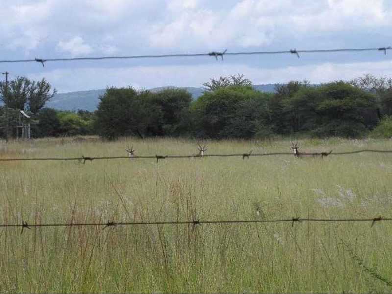 WATER IN ABUNDANCE - FARM 10KM FROM MOOKGOPONG - Photo 3