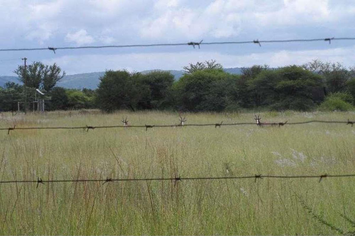 WATER IN ABUNDANCE - FARM 10KM FROM MOOKGOPONG - Photo 3