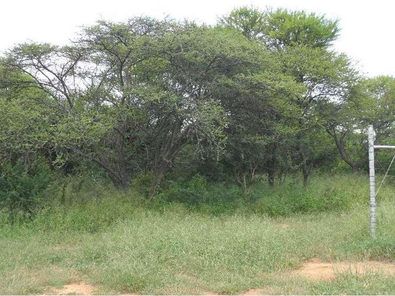 WATER IN ABUNDANCE - FARM 10KM FROM MOOKGOPONG - Photo 4