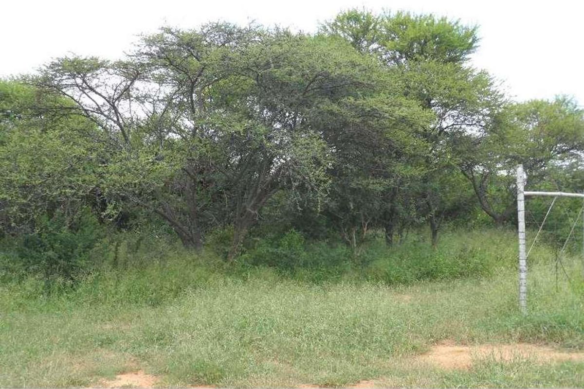 WATER IN ABUNDANCE - FARM 10KM FROM MOOKGOPONG - Photo 4