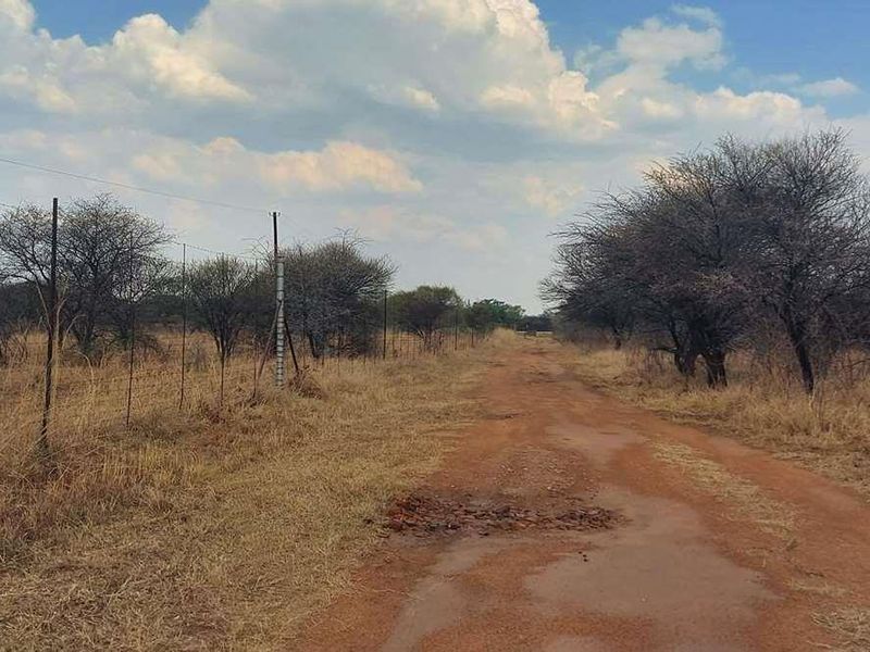 WATER IN ABUNDANCE - FARM 10KM FROM MOOKGOPONG - Photo 5