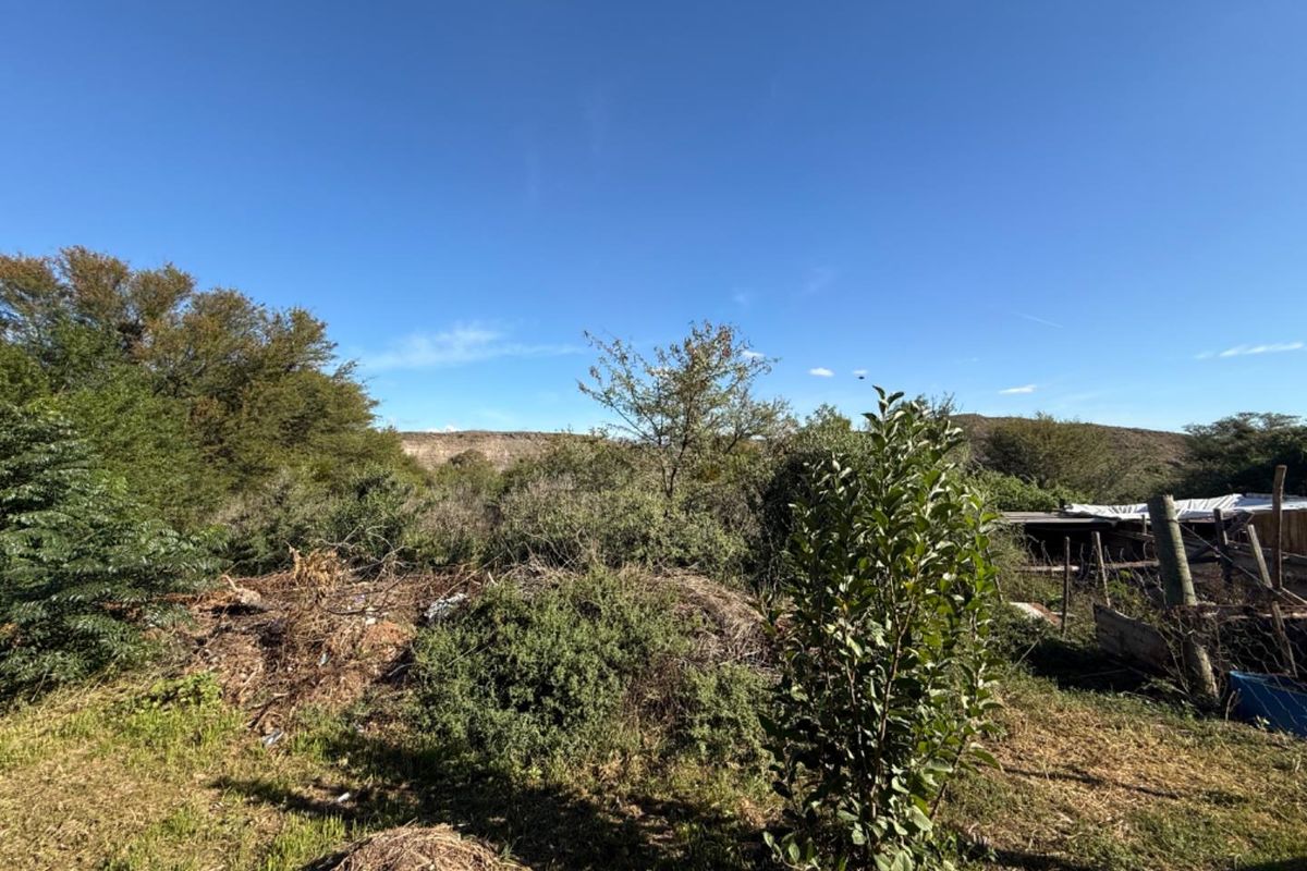 House For Sale in Van Wyksdorp, Ladismith - Photo 3