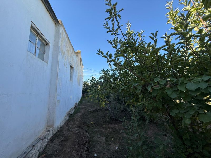 House For Sale in Van Wyksdorp, Ladismith - Photo 5