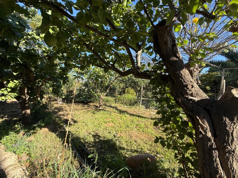 House For Sale in Van Wyksdorp, Ladismith - Photo 4