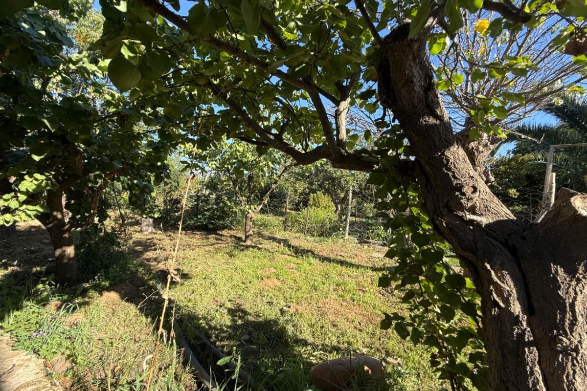 House For Sale in Van Wyksdorp, Ladismith - Photo 4