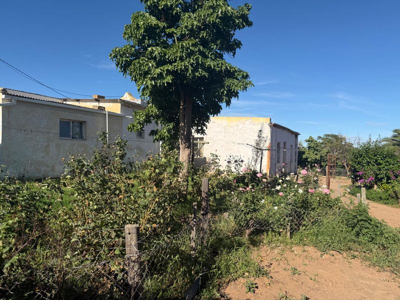 Rear view of the property featuring a garden area with established trees, rose bushes, and a wire fence against the building exterior.