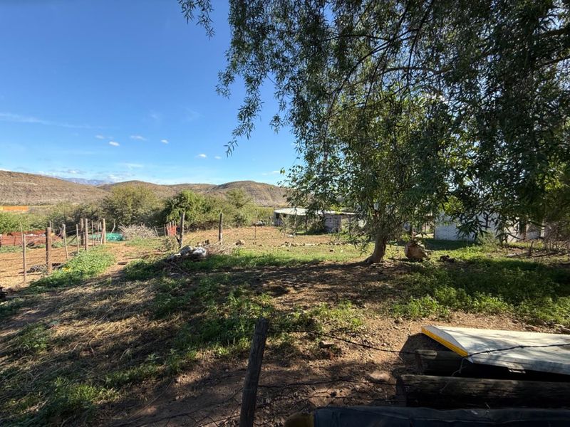 A wide-angle view of a large, undeveloped plot of land featuring natural terrain, mature trees, and distant mountain views.
