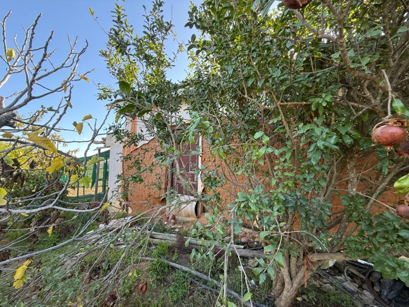 Exterior view of a weathered building facade partially obscured by overgrown trees and shrubs, showing signs of significant wear and structural deterioration.
