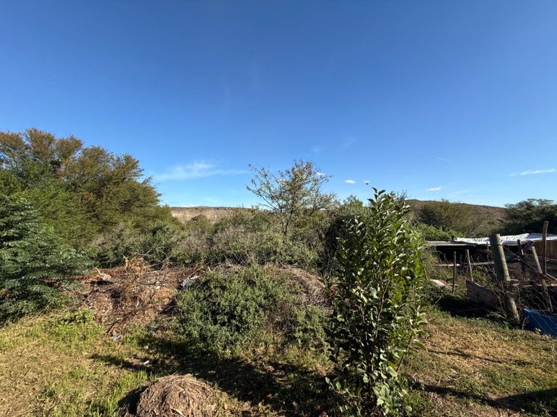 An expansive outdoor area featuring dense, overgrown vegetation and natural landscape, offering potential for clearing and landscaping development.