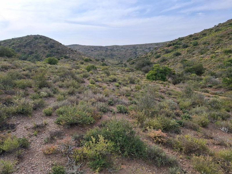 Farm For Sale in Van Wyksdorp, Ladismith - Photo 10