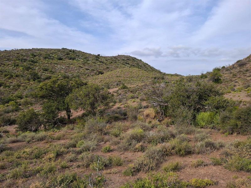 Farm For Sale in Van Wyksdorp, Ladismith - Photo 8