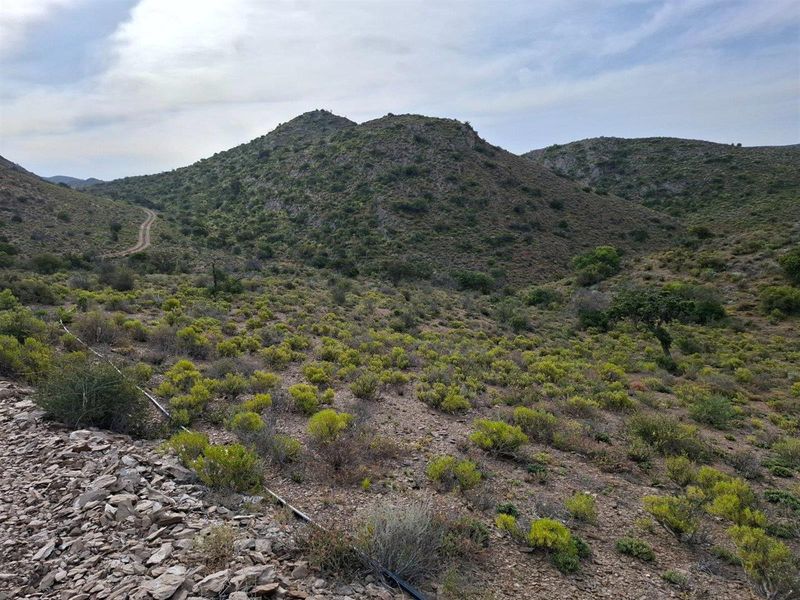 Farm For Sale in Van Wyksdorp, Ladismith - Photo 7