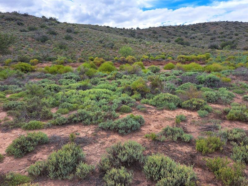 Farm For Sale in Van Wyksdorp, Ladismith - Photo 6