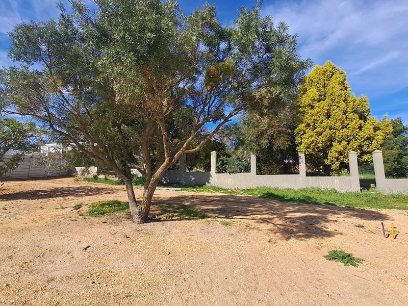 A vacant residential plot featuring established trees and a concrete perimeter wall, offering a clear space for future development.