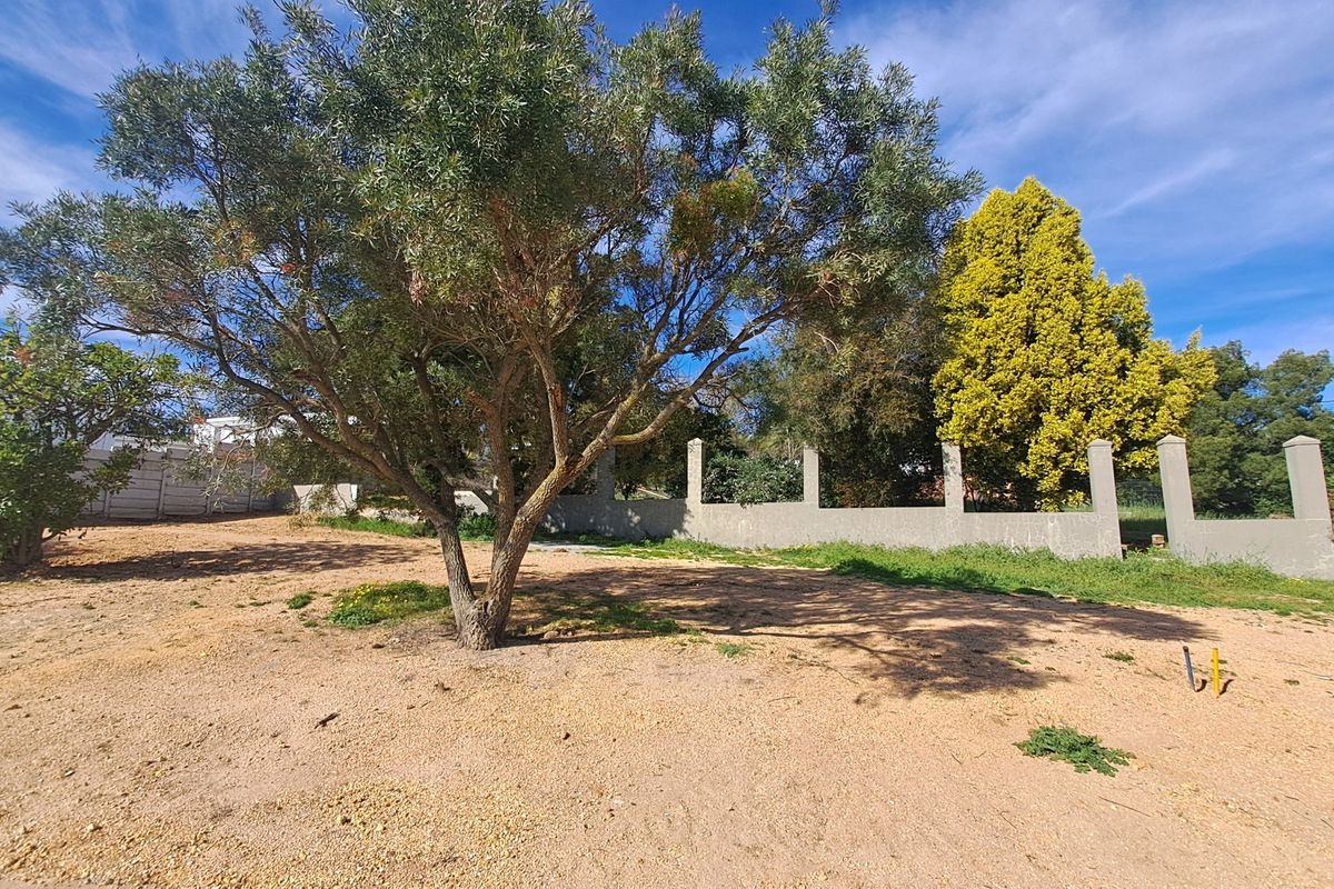 A vacant residential plot featuring established trees and a concrete perimeter wall, offering a clear space for future development.