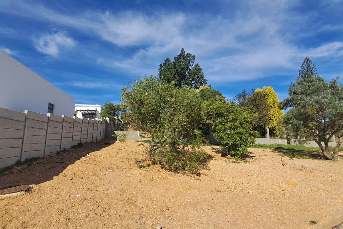 A vacant residential plot featuring a precast concrete boundary wall and established trees, offering a clear space for future development.