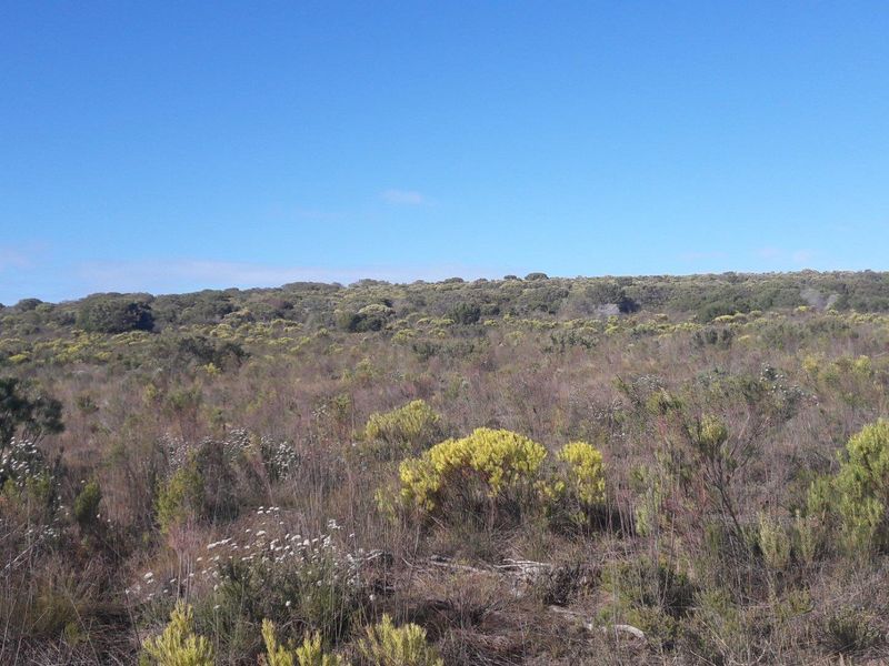 Farm For Sale in Riversdale Rural, Riversdale - Photo 9