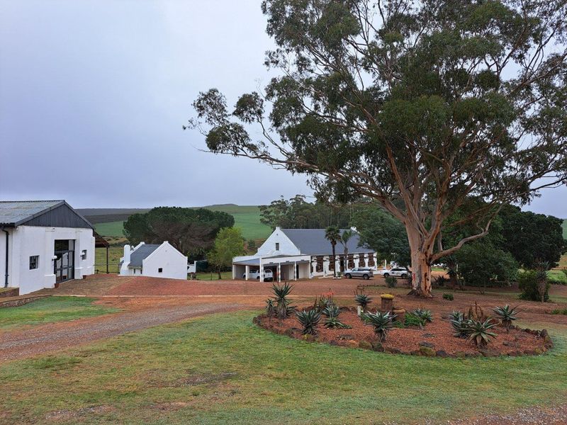 Farm For Sale in Riversdale Rural, Riversdale - Photo 5
