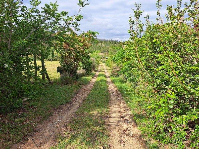 Farm For Sale in Riversdale Rural, Riversdale - Photo 10