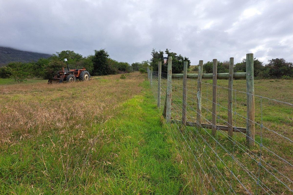 Farm For Sale in Riversdale Rural, Riversdale - Photo 5
