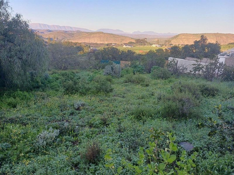 Vacant Land For Sale in Van Wyksdorp, Ladismith - Photo 8