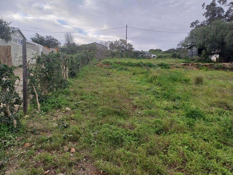 Vacant Land For Sale in Van Wyksdorp, Ladismith - Photo 9