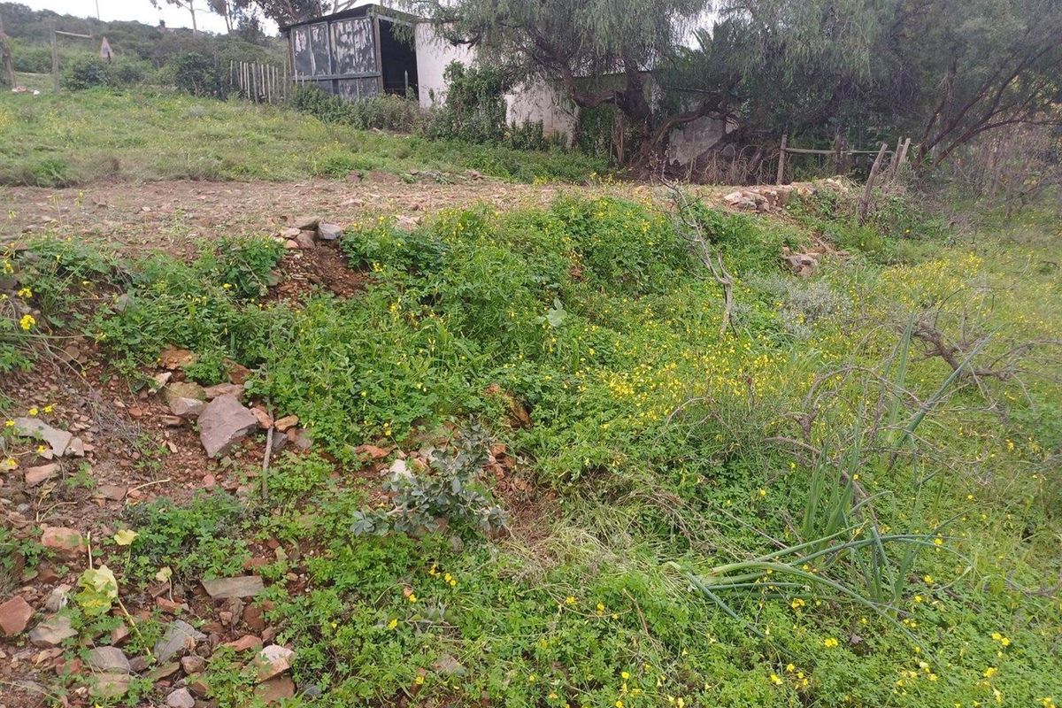 Vacant Land For Sale in Van Wyksdorp, Ladismith - Photo 3