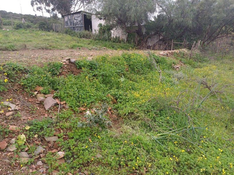 Vacant Land For Sale in Van Wyksdorp, Ladismith - Photo 5