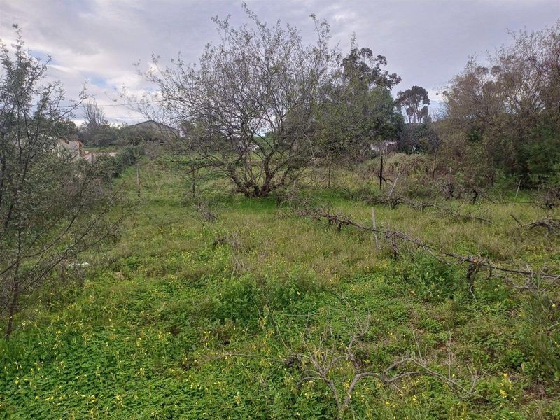 Vacant Land For Sale in Van Wyksdorp, Ladismith - Photo 10