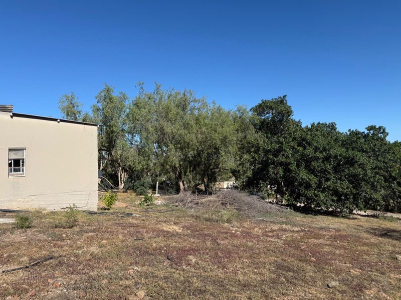 House For Sale in Van Wyksdorp, Ladismith - Photo 9